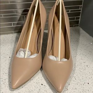 Nude 3 1/4 in heel Pointed Pump (Worn Once)